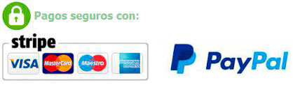 pago-seguro